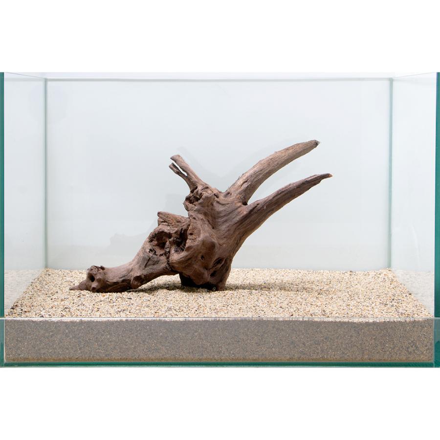 一点物 上質流木 雅 ４５ｃｍ水槽用 ８６４３６５ チャーム Charm Paypayモール店 通販 Paypayモール