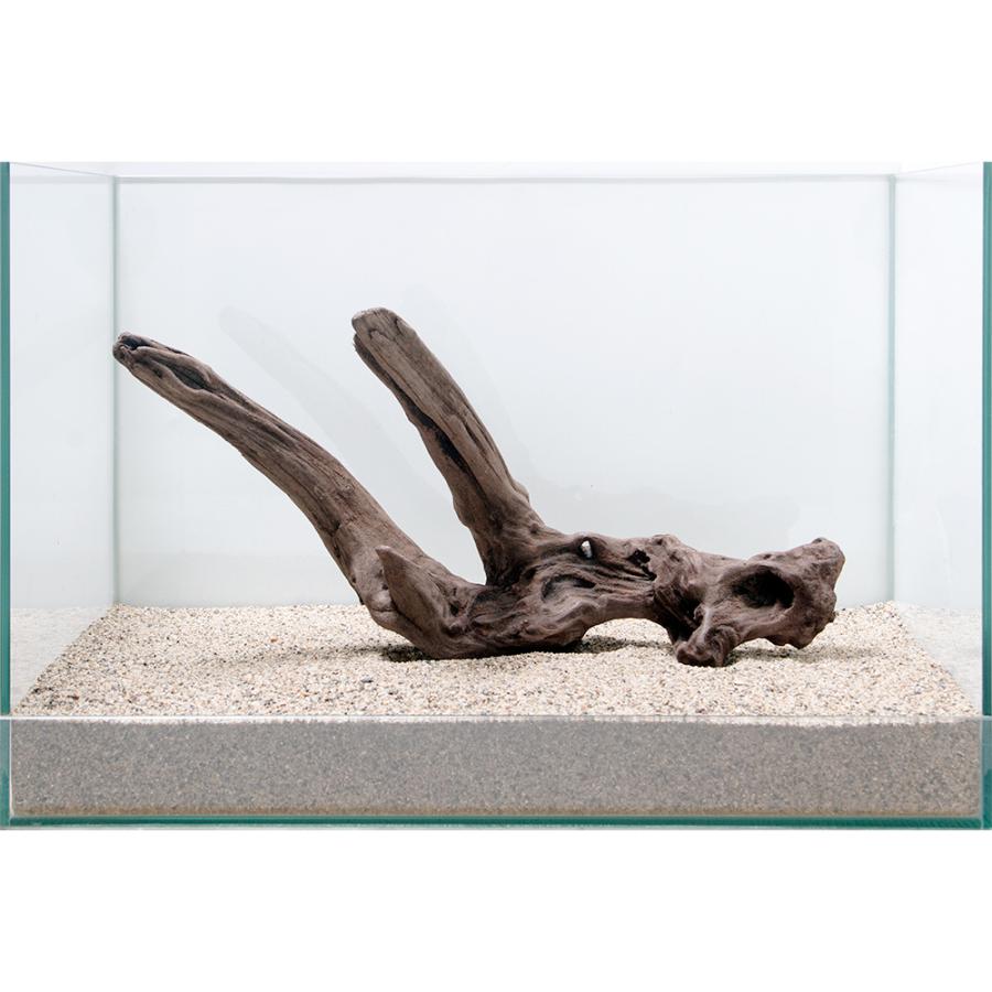 一点物 上質流木 雅 ４５ｃｍ水槽用 ８６４３９８ チャーム Charm Paypayモール店 通販 Paypayモール