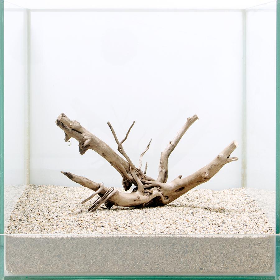 一点物 ブランチ流木 ３０ｃｍ水槽用 ８６４４４２ チャーム Charm Paypayモール店 通販 Paypayモール