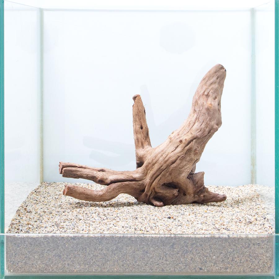 一点物 上質流木 雅 ３０ｃｍ水槽用 ８６４７３５ チャーム Charm Paypayモール店 通販 Paypayモール