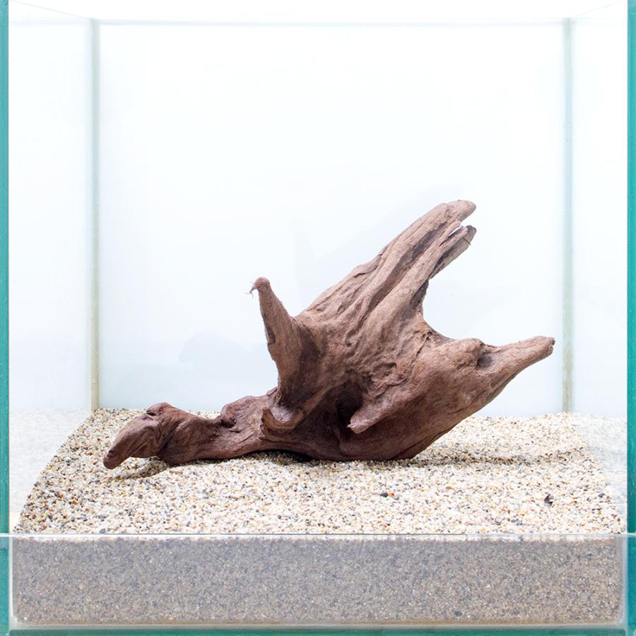 一点物 上質流木 雅 ３０ｃｍ水槽用 ８６４７４９ チャーム Charm Paypayモール店 通販 Paypayモール