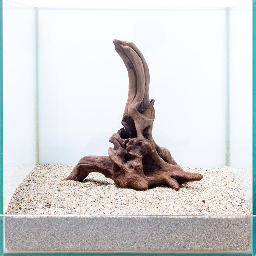 一点物 上質流木 雅 ３０ｃｍ水槽用 ８６４７６７ チャーム Charm Paypayモール店 通販 Paypayモール