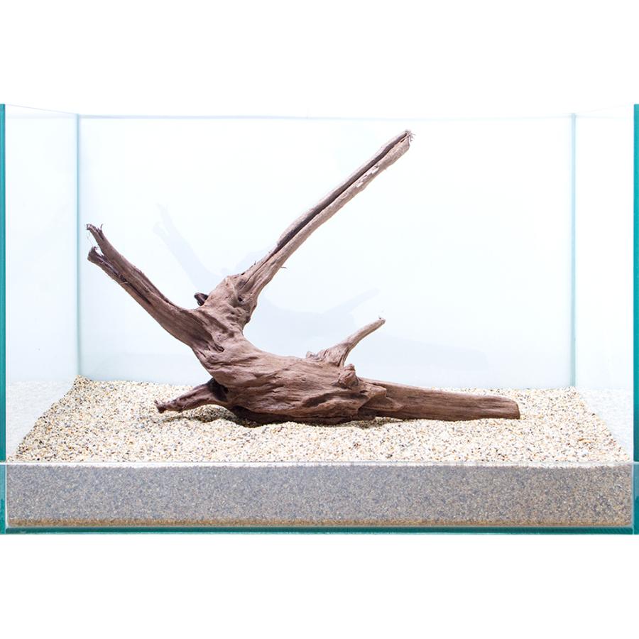 一点物 上質流木 雅 ４５ｃｍ水槽用 ８６４８１４ チャーム Charm Paypayモール店 通販 Paypayモール