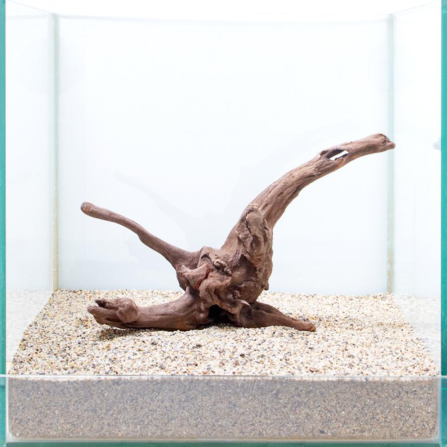 一点物 上質流木 雅 ３０ｃｍ水槽用 ８６４８９８ チャーム Charm Paypayモール店 通販 Paypayモール