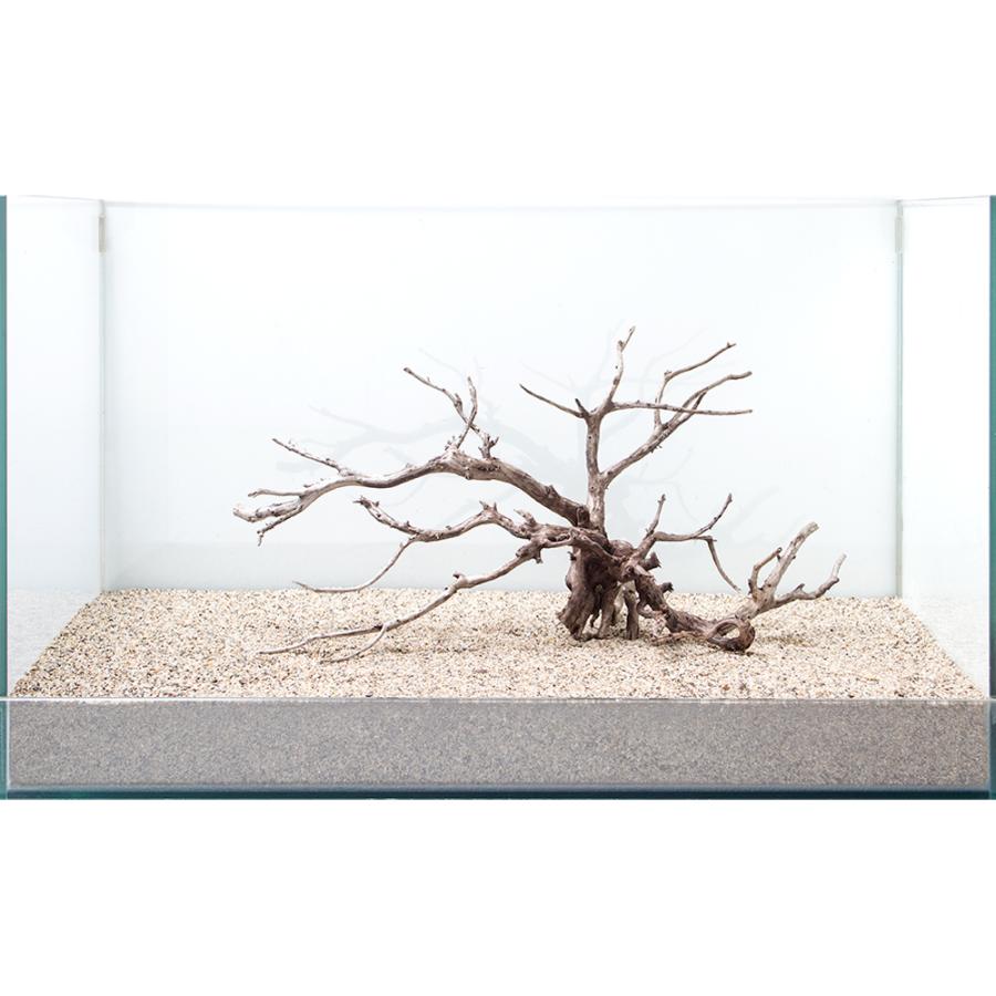 一点物 極上流木単体 ６０ｃｍ水槽用 ８６４９５７ チャーム Charm Paypayモール店 通販 Paypayモール