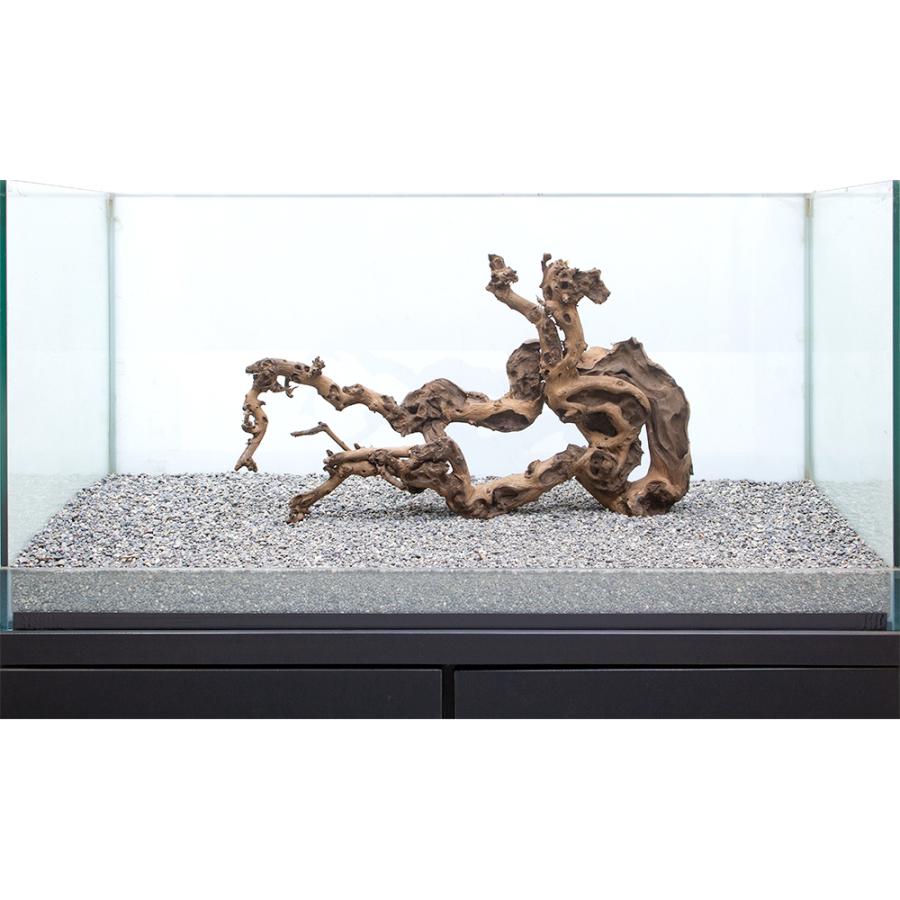 珍しい 一点物 サンゴウッド 大型水槽用 ８６５６０３ 沖縄別途送料 新品本物 Www Sei Ba Gov Br