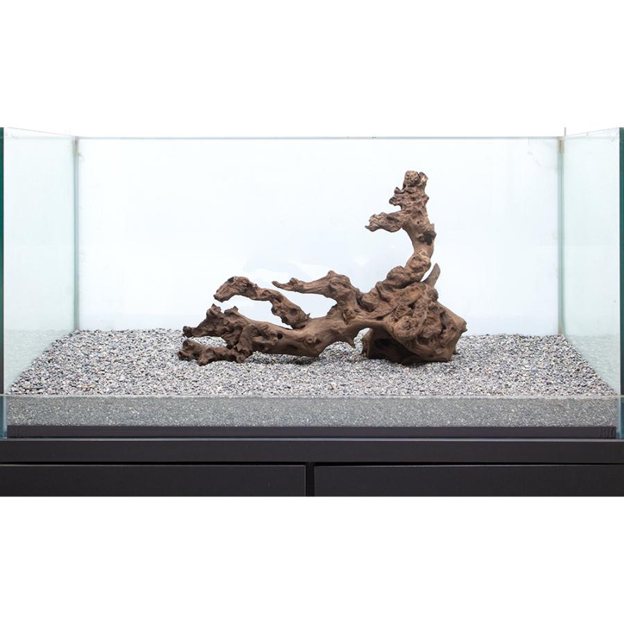 一点物 サンゴウッド 大型水槽用 ８６５６１２ 沖縄別途送料 チャーム Charm Paypayモール店 通販 Paypayモール