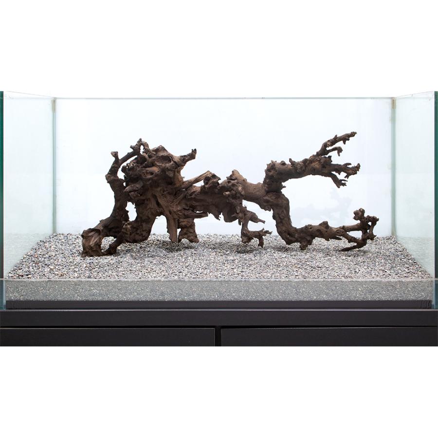 一点物 サンゴウッド 大型水槽用 ８６５６３４ 沖縄別途送料 チャーム Charm Paypayモール店 通販 Paypayモール