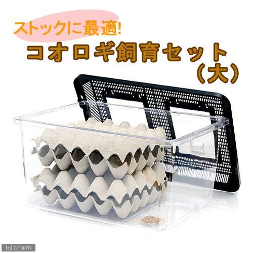 コオロギ飼育セット 大 説明書付 レッドローチやデュビアの飼育にも お一人様１点限り チャーム Charm Paypayモール店 通販 Paypayモール