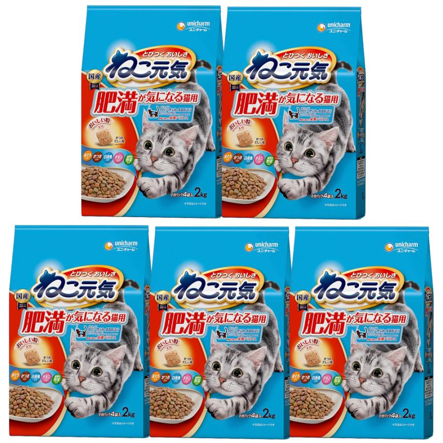キャットフード　ねこ元気　肥満が気になる猫用　２．０ｋｇ（５００ｇ×４袋）　５袋入り | ねこ元気