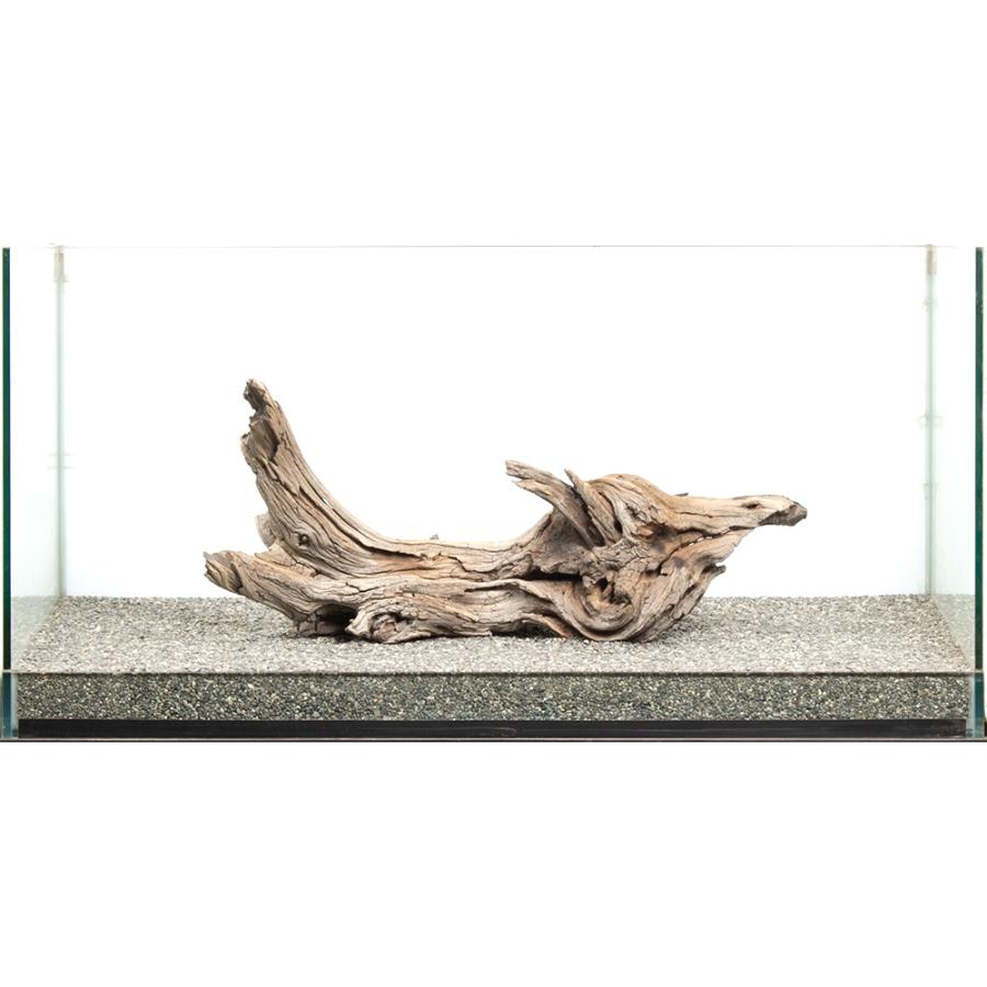 一点物 ゴーストウッド 大型水槽用 880041 : チャーム charm