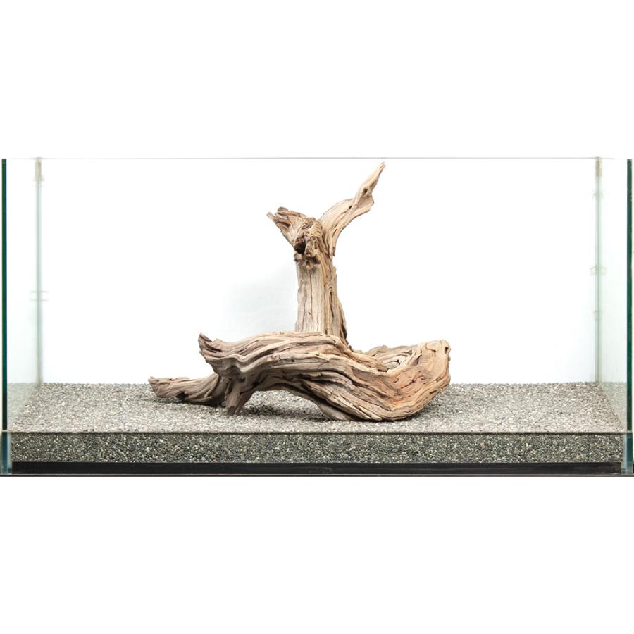 一点物 ゴーストウッド 大型水槽用 880042 : チャーム charm