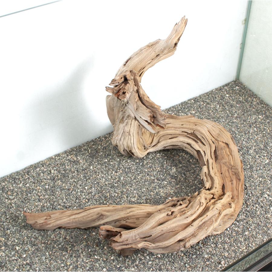 一点物 ゴーストウッド 大型水槽用 880042 : チャーム charm