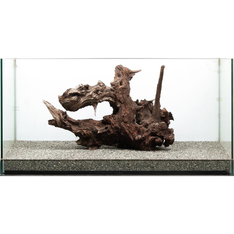 一点物 ドリフトウッド 大型水槽用 880161 : チャーム