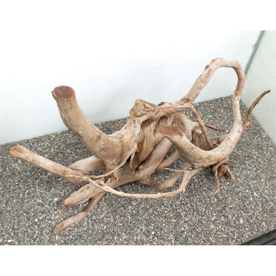 MRW-5825 赤系天然流木　自立アーチ流木　1点物　流木　アクアリウム MRW-5825 赤系天然流木 自立アーチ流木 1点物 流木 アクアリウム MRW