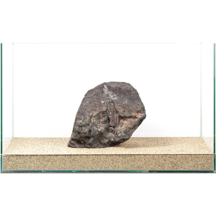 一点物 黒溶岩石 親石 60cm水槽用 880241 : チャーム charm
