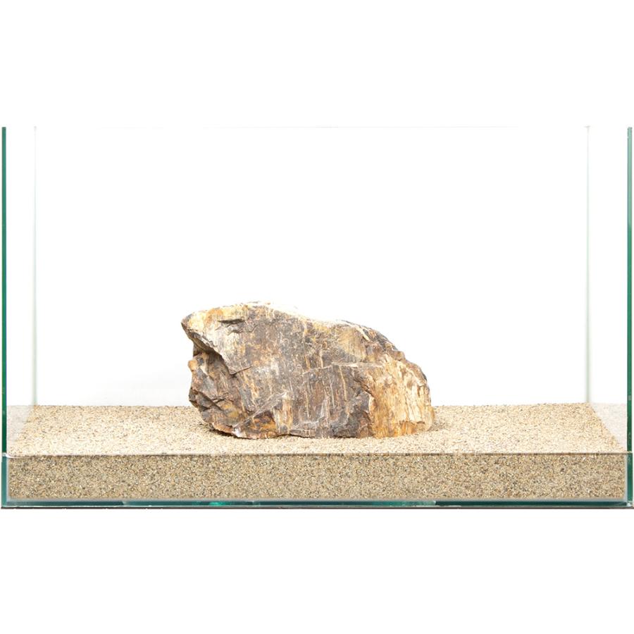 台付　エビ　魚　化石　鉱石　希少　インテリア 一点物 木化石 親石 60cm水槽用 880276 : チャーム charm