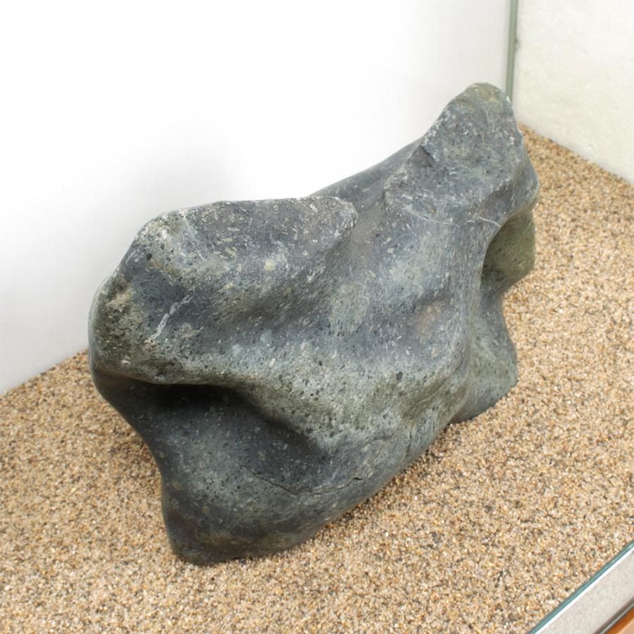 一点物 碧海石 親石 60cm水槽用 880314 : チャーム charm