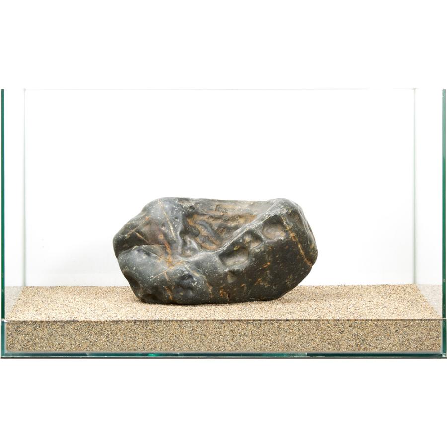 一点物 碧海石 親石 60cm水槽用 880318 : チャーム charm