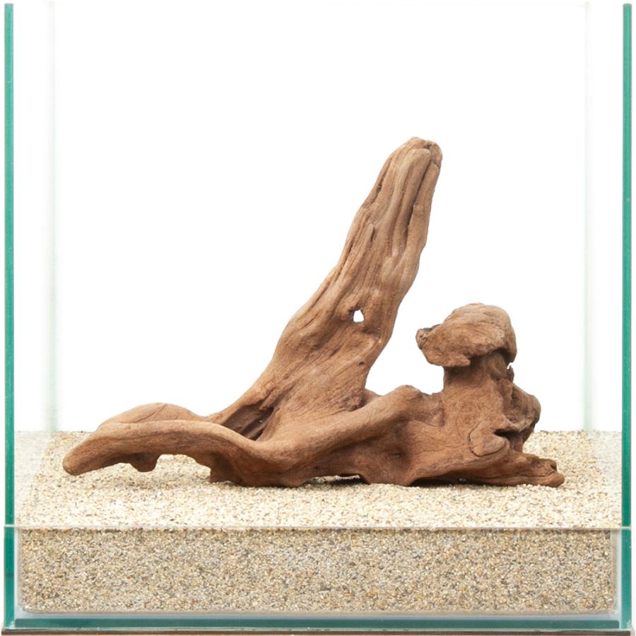 一点物 上質流木 雅 30cm水槽用 880410 : チャーム charm