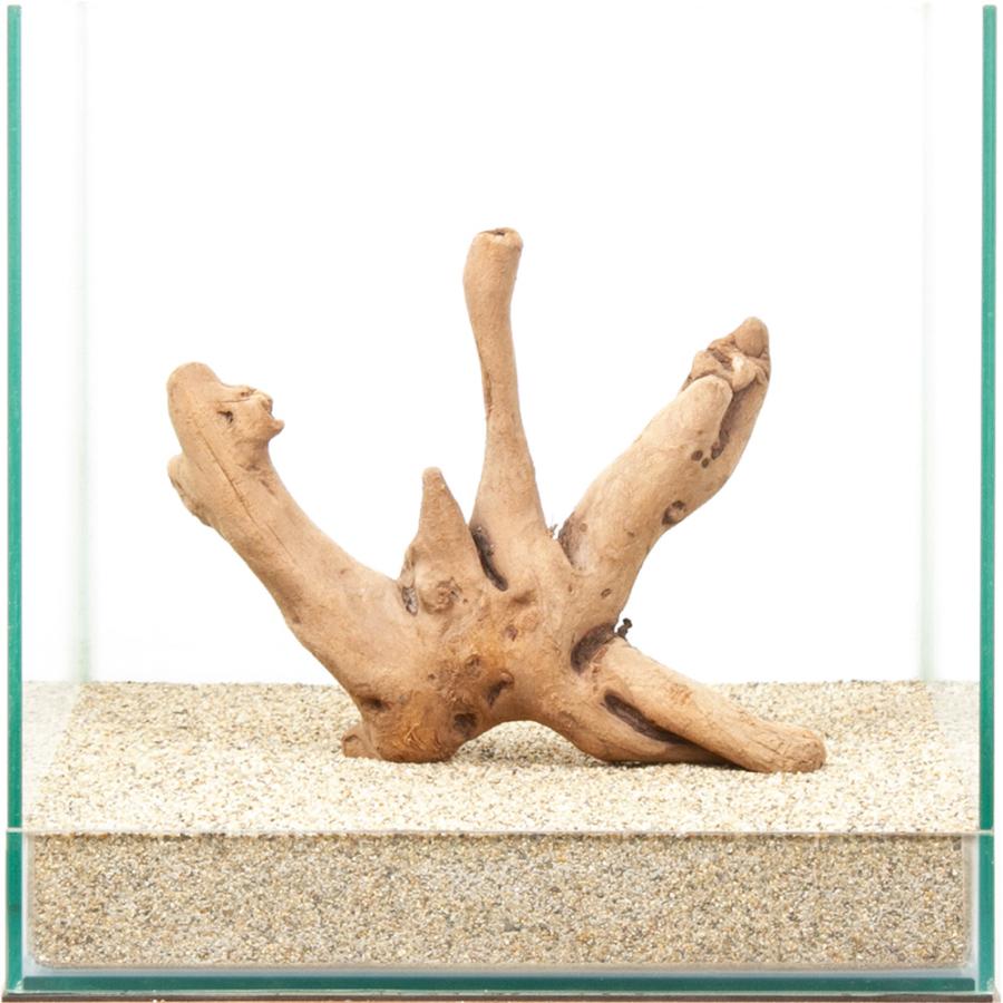 一点物 上質流木 雅 30cm水槽用 880460 : チャーム charm