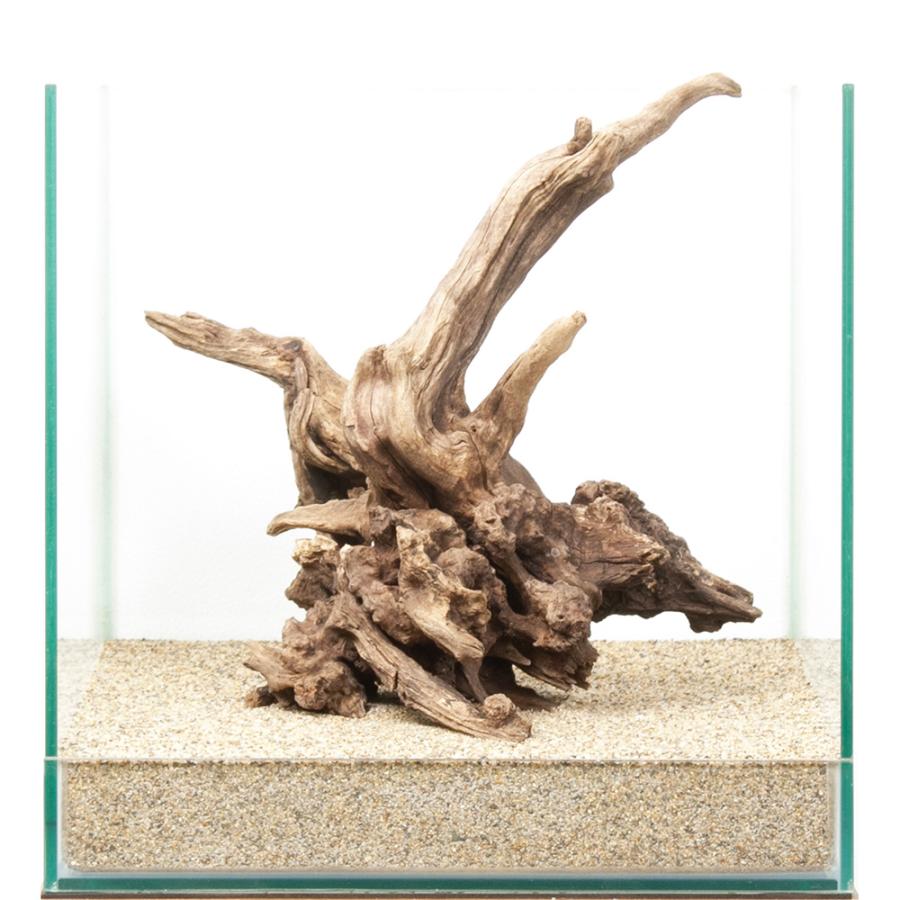 一点物 ディアーホーンウッド 30cm水槽用 880592 : チャーム