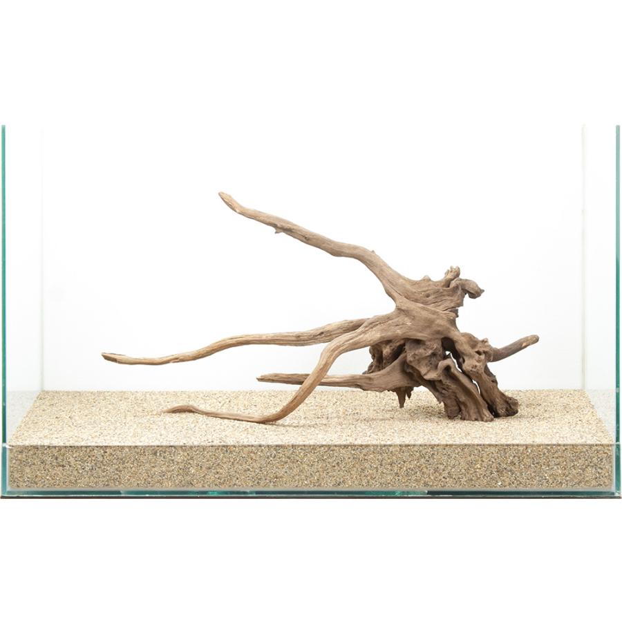 水槽用流木 大きめ 根の形状 楽天市場】形状お任せ 自然流木 中（約