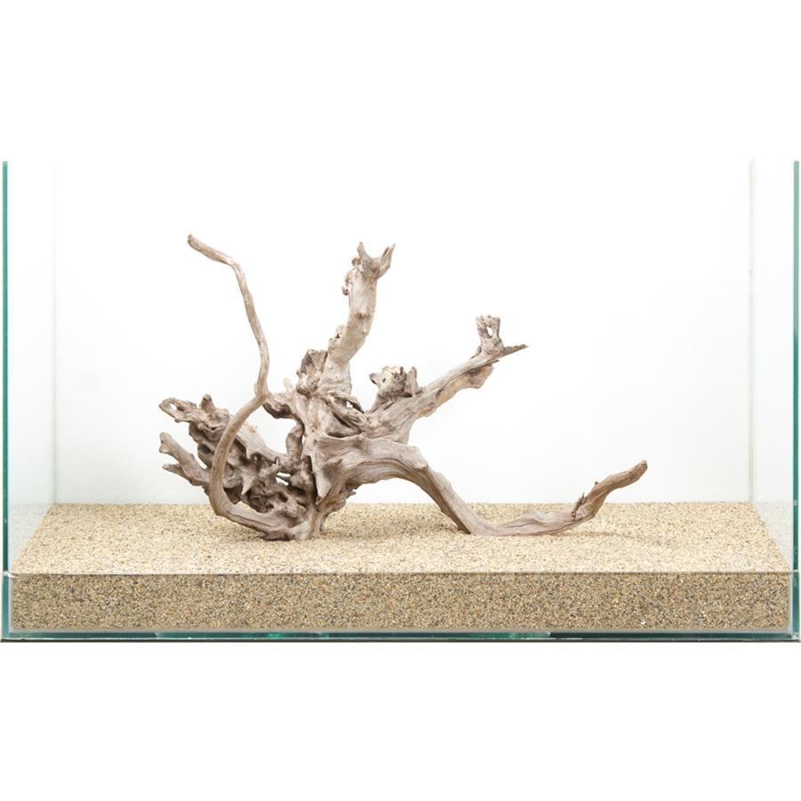 特大 良型 流木 A801 ホーンウッド 特大 良型 流木 A801 ホーンウッド