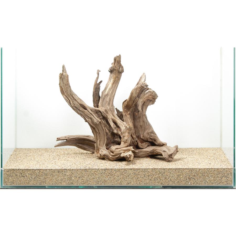 アクアリウム引退 ホーンウッド 一点物 ディアーホーンウッド 60cm水槽用 880607 : チャーム