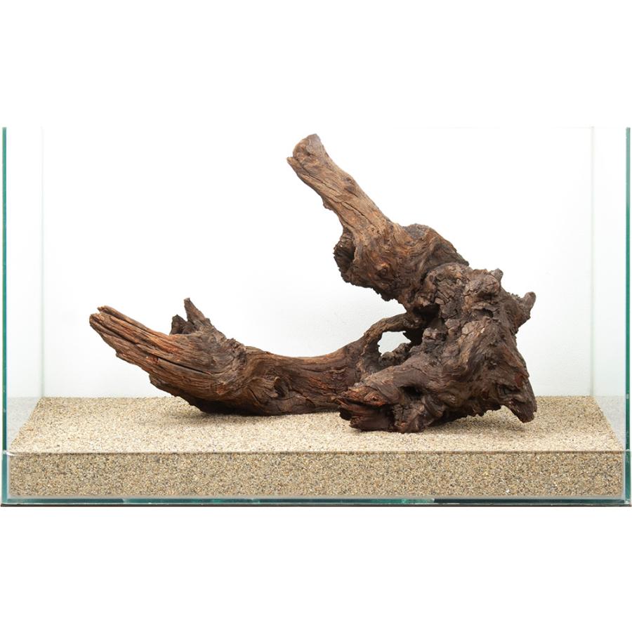 一点物 ドリフトウッド 60cm水槽用 880617 : チャーム charm