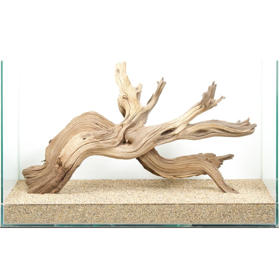 一点物 上質流木 禅 60cm水槽用 880627 : チャーム charm