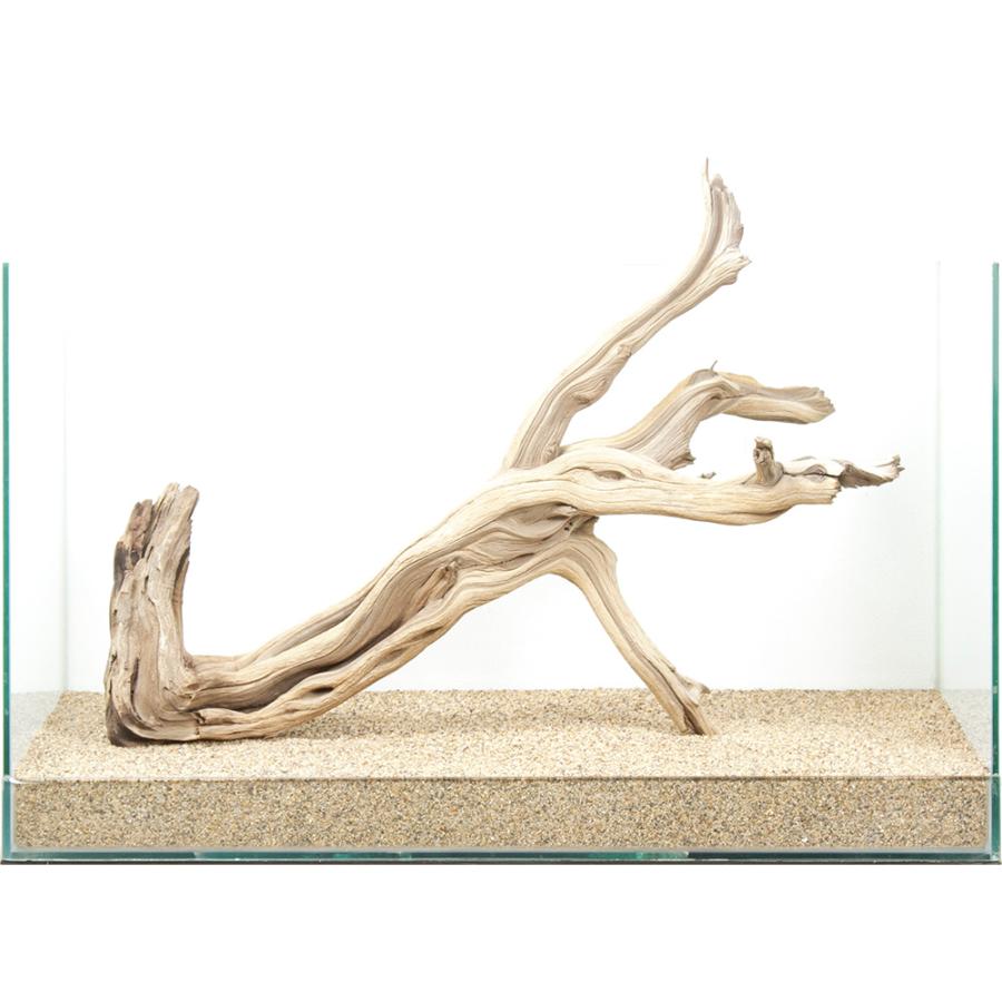 MSRW-6958 特大天然流木1点物 スリムウッド アクアリウム MSRW-6958