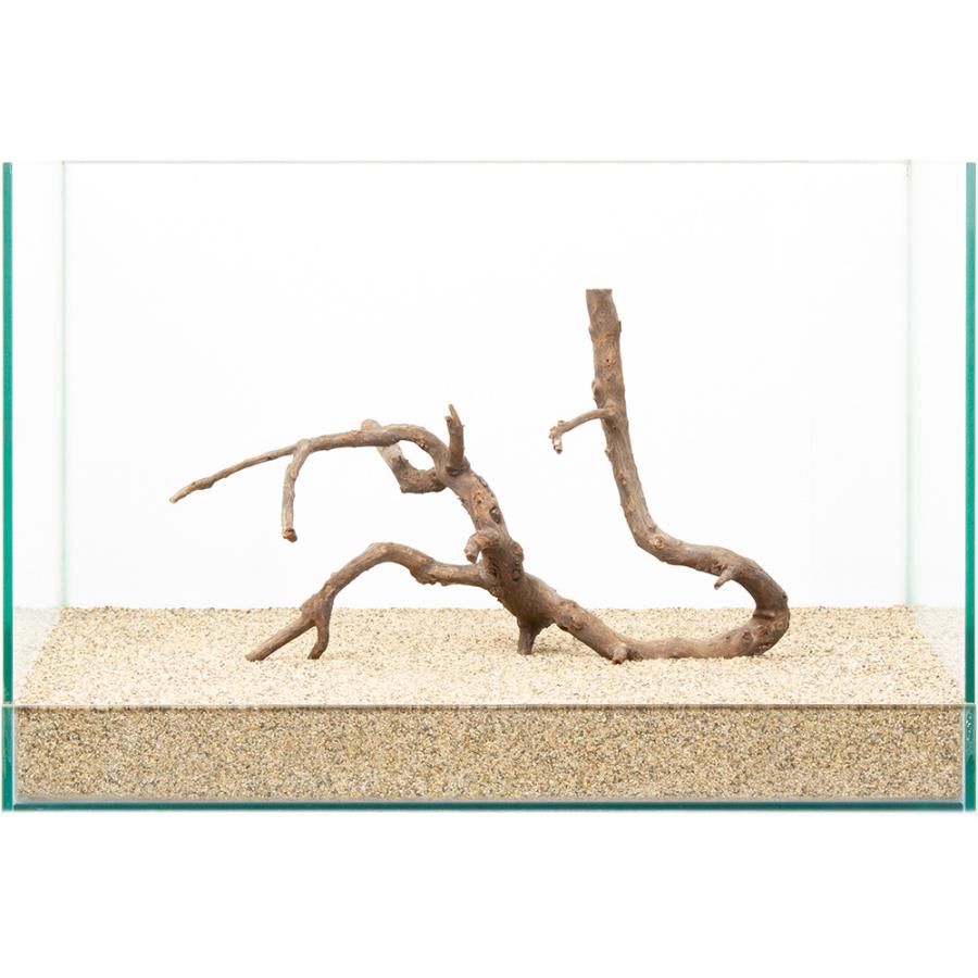 一点物 極上流木 45cm水槽用 880795 : チャーム charm 