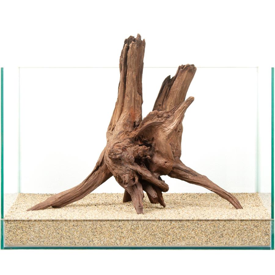 一点物 上質ドリフトウッド 45cm水槽用 880829 : チャーム