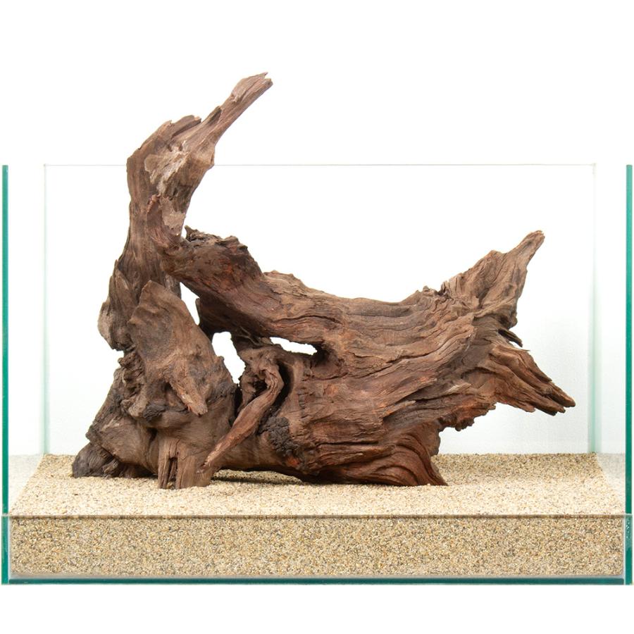 一点物 上質ドリフトウッド 45cm水槽用 880846 : チャーム