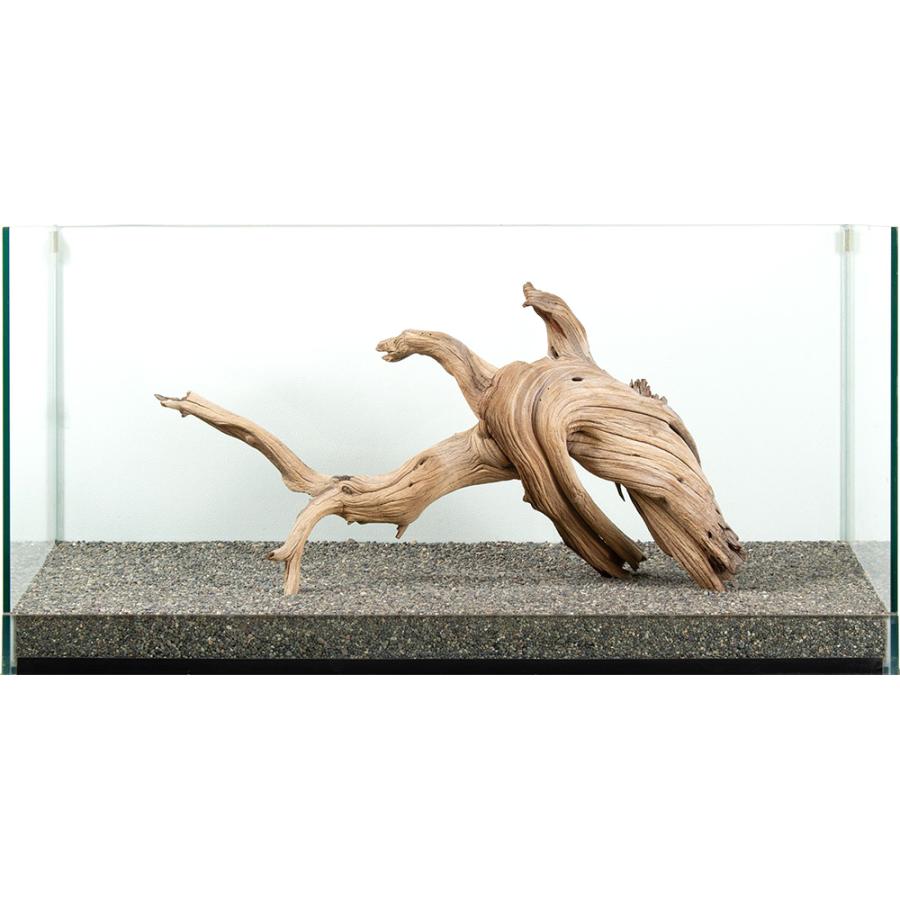 縁起物 天然 自然流木 1kg H23×W24×D21(cm)極上流木 上質流木 一点物 上質流木 禅 大型水槽用 881117 : チャーム charm ヤフー