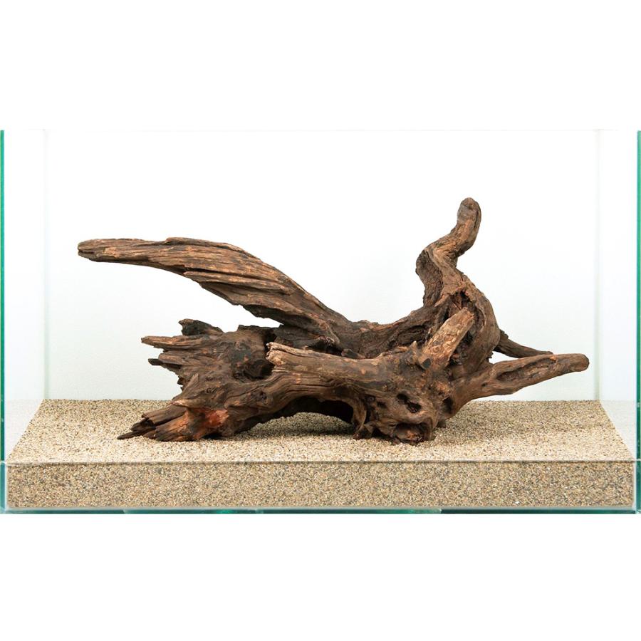 流木　ドリフトウッド　オブジェ 一点物 60cm水槽用 ドリフトウッド 881897 : チャーム charm