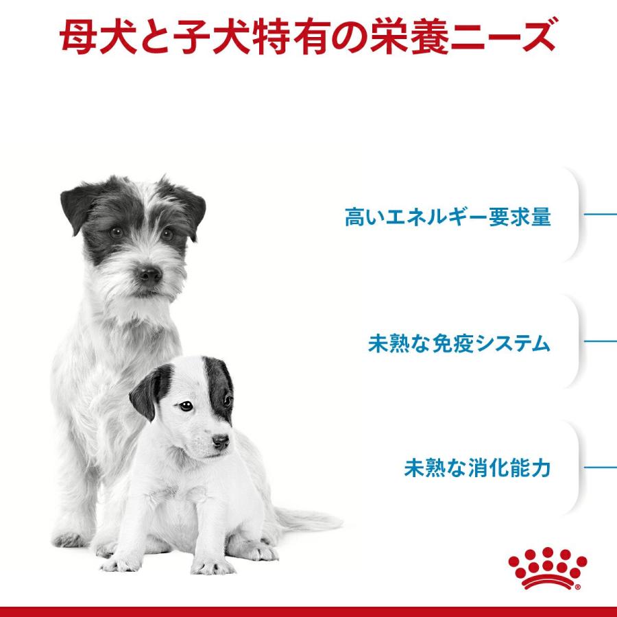 ロイヤルカナン　ミニ　スターター　マザー＆ベビードッグ　小型犬　母犬・子犬用　１ｋｇ　３１８２５５０７７８６５７　ジップ付　お一人様５点限り | ロイヤルカナン | 02