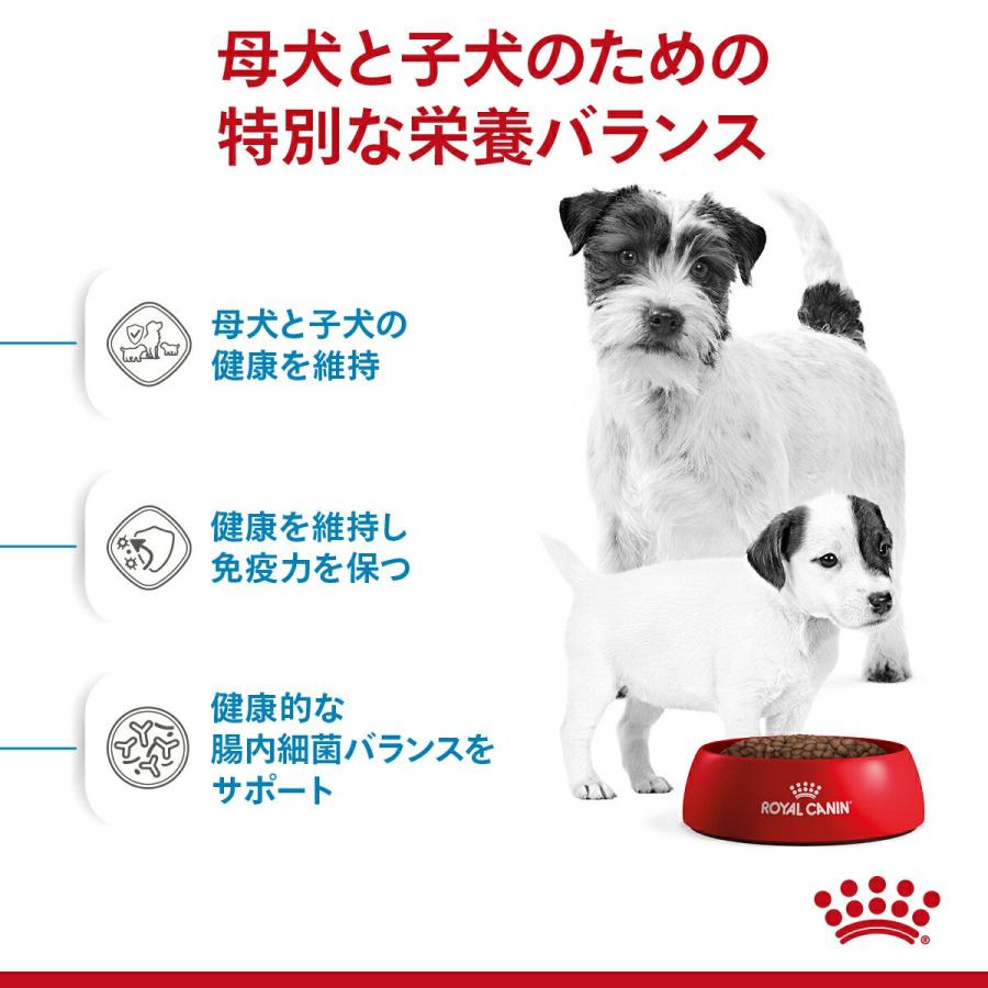 ロイヤルカナン　ミニ　スターター　マザー＆ベビードッグ　小型犬　母犬・子犬用　１ｋｇ　３１８２５５０７７８６５７　ジップ付　お一人様５点限り | ロイヤルカナン | 03