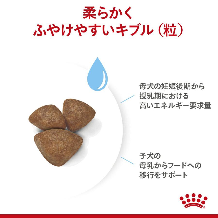 ロイヤルカナン　ミニ　スターター　マザー＆ベビードッグ　小型犬　母犬・子犬用　１ｋｇ　３１８２５５０７７８６５７　ジップ付　お一人様５点限り | ロイヤルカナン | 04