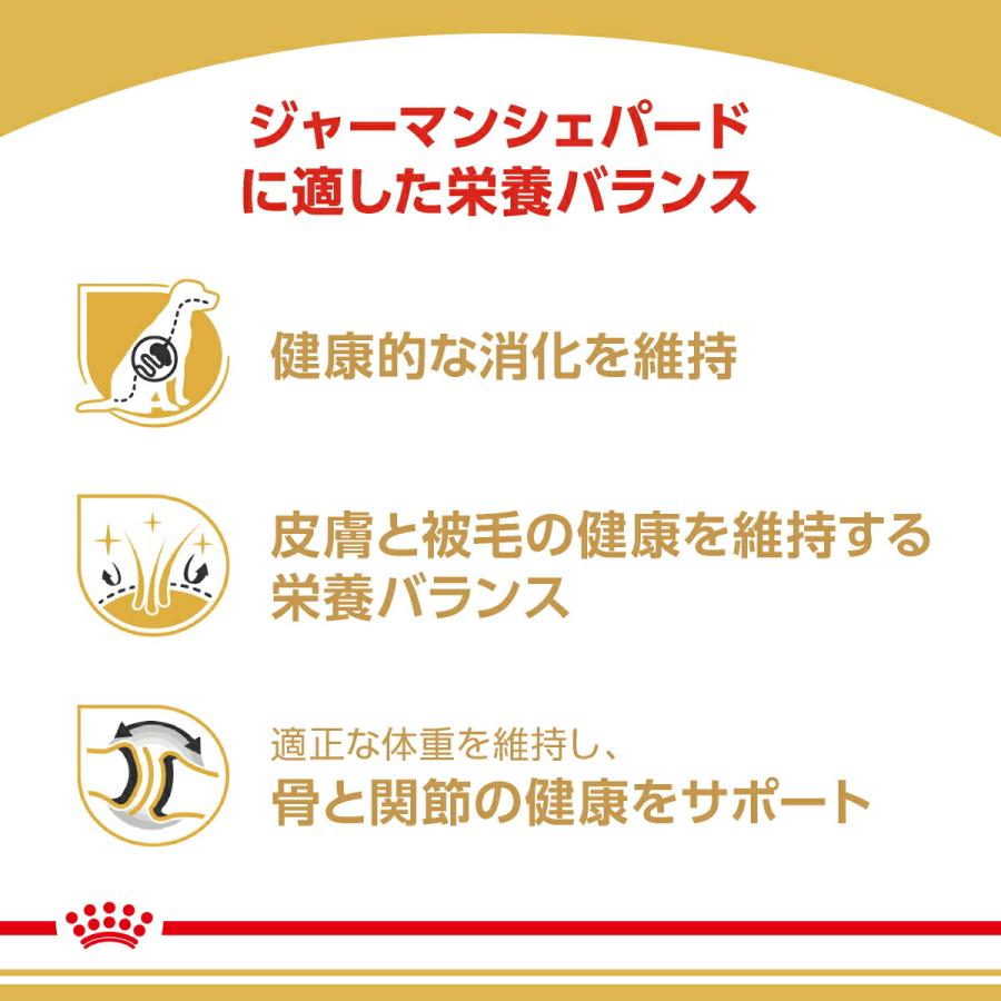 ロイヤルカナン　ジャーマンシェパード　成犬・高齢犬用　３ｋｇ　ジップ付　お一人様５点限り｜chanet｜04