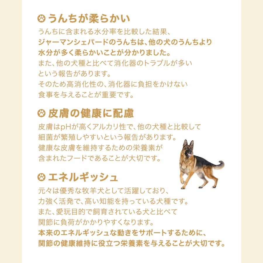 やビタミン ロイヤルカナン チャーム Charm Paypayモール店 通販 Paypayモール ジャーマンシェパード 成