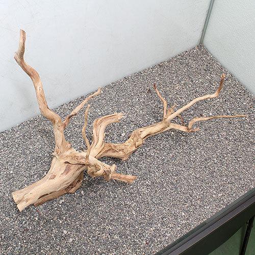 一点物 ブランチ流木 大型水槽用 ８９３９５４ 沖縄別途送料 チャーム Charm Paypayモール店 通販 Paypayモール