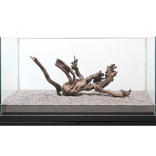 店 チャーム 通販 Charm 一点物 サンゴウッド 大型水槽用 ８９４３００ 沖縄別途送料 Charm チャーム