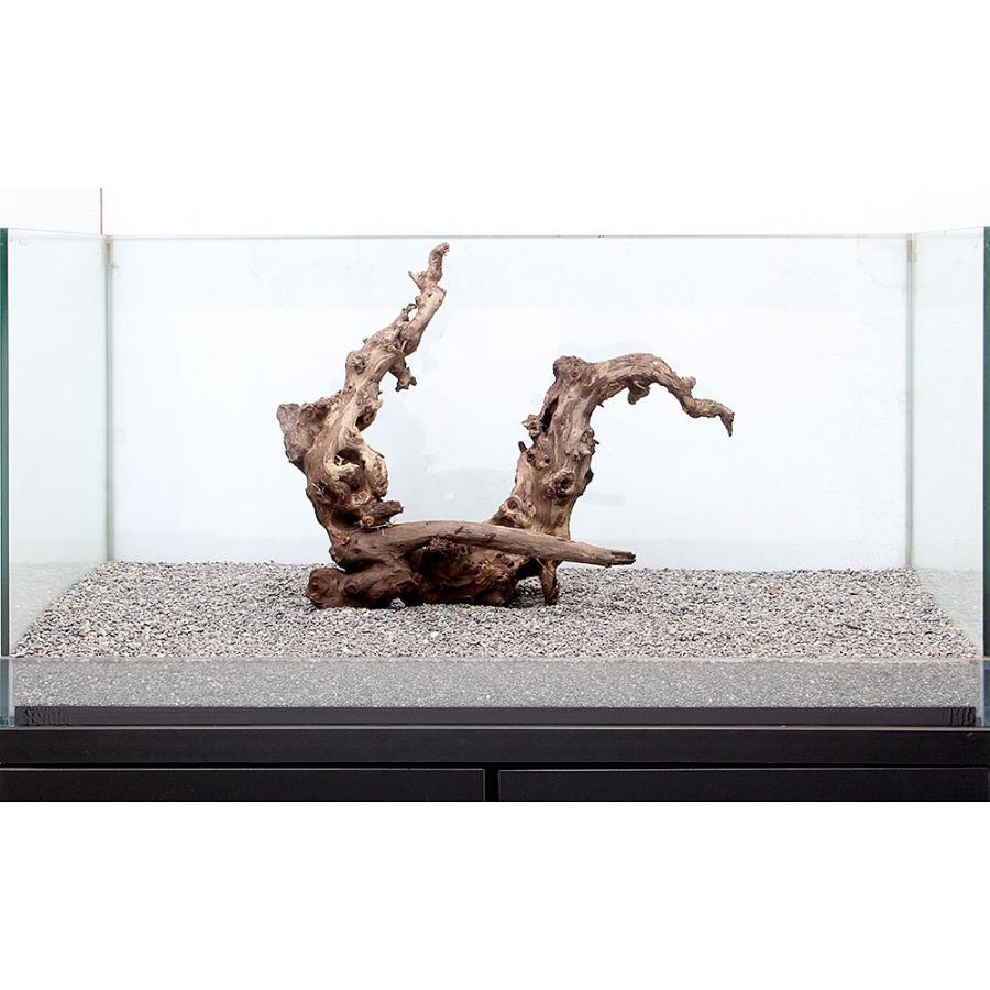 50 Off 一点物 サンゴウッド 大型水槽用 ８９５３７２ 沖縄別途送料 最新コレックション Www Sei Ba Gov Br