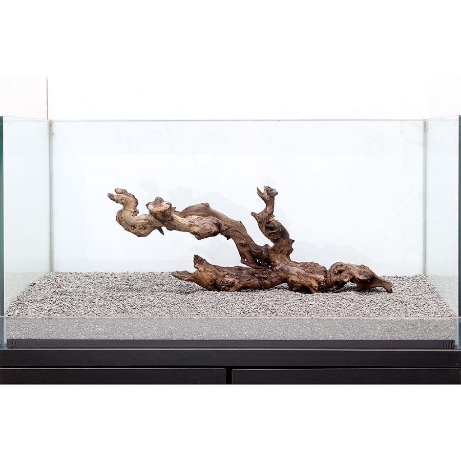 一点物 サンゴウッド 大型水槽用 ８９５４２８ 沖縄別途送料 チャーム Charm Paypayモール店 通販 Paypayモール