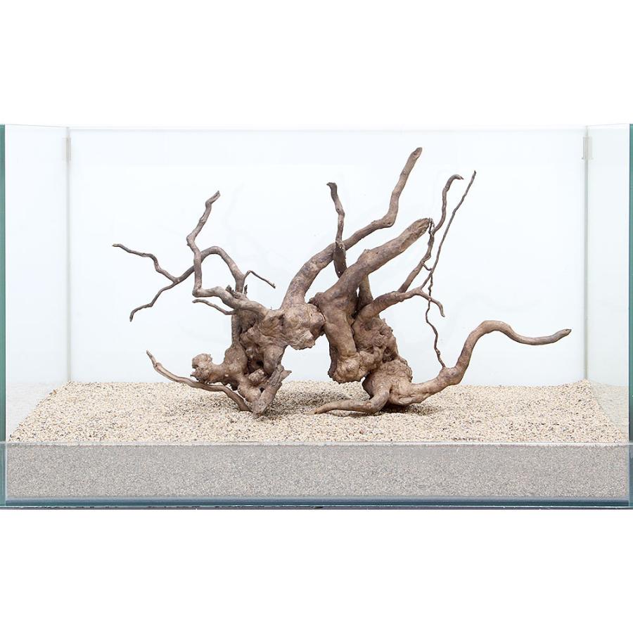 大流行中 一点物 ルーツウッド 単体 ６０ｃｍ水槽用 ８９５５３２ 驚きの値段 R4urealtygroup Com