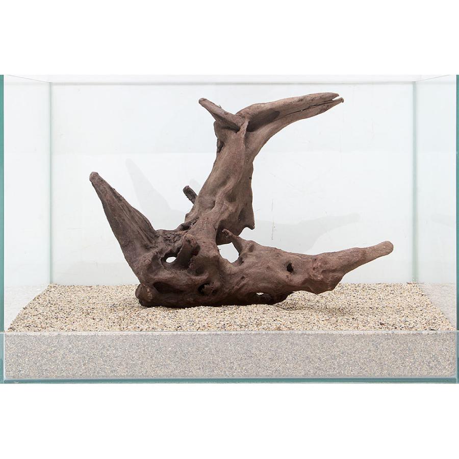 一点物 上質流木 雅 ４５ｃｍ水槽用 ８９５６３０ チャーム Charm Paypayモール店 通販 Paypayモール