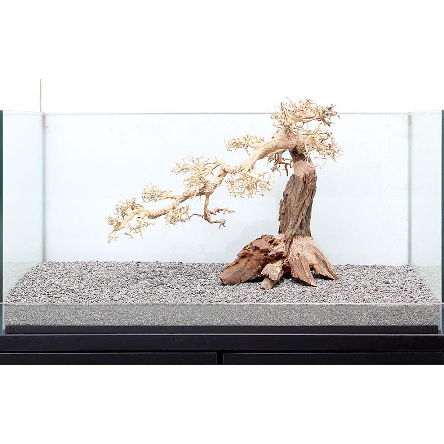 一点物 盆栽流木 大型水槽用 ８９６４０６ レイアウト用品 沖縄別途送料 Paypayモール店 Charm チャーム Charm 店 通販