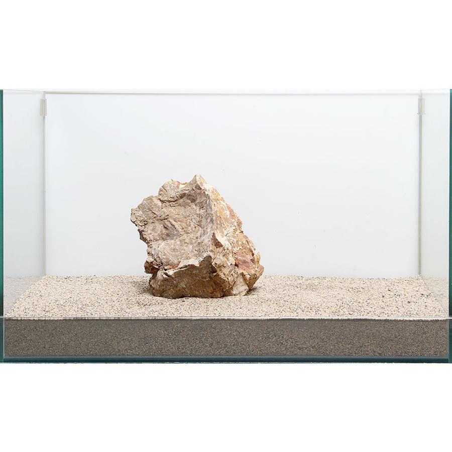 一点物 木化石 親石 ６０ｃｍ水槽用 ８９６５１０ チャーム Charm Paypayモール店 通販 Paypayモール